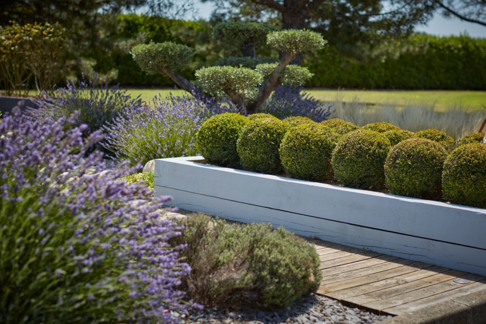 entretien jardin drome ardèche cedric pierre paysage