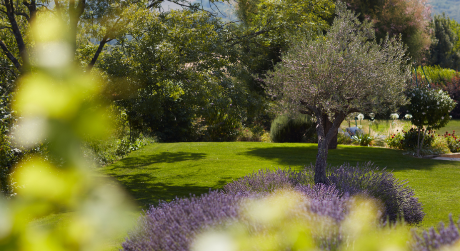 Jardin avec une ambiance paysagère réalisé par CEDRIC PIERRE PAYSAGE