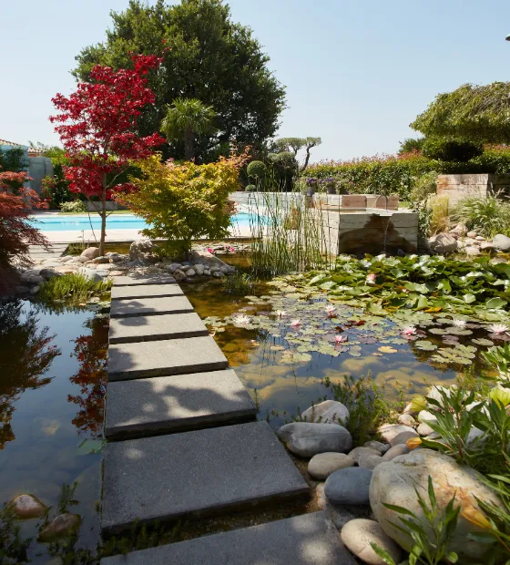 Jardin ambiance paysagère