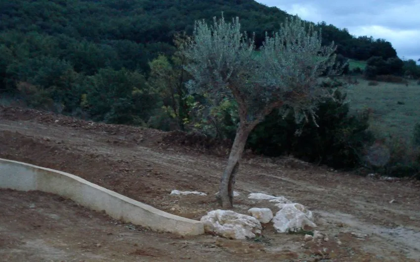 Jardin "Parfum du Sud"