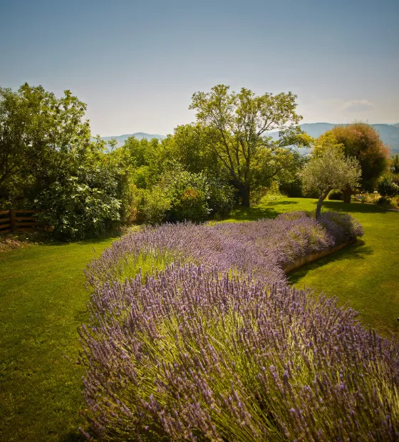 Jardin avec ambiance paysagère
