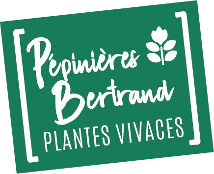 Logo pépinières bertrand