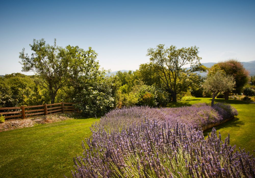 Jardin paysager